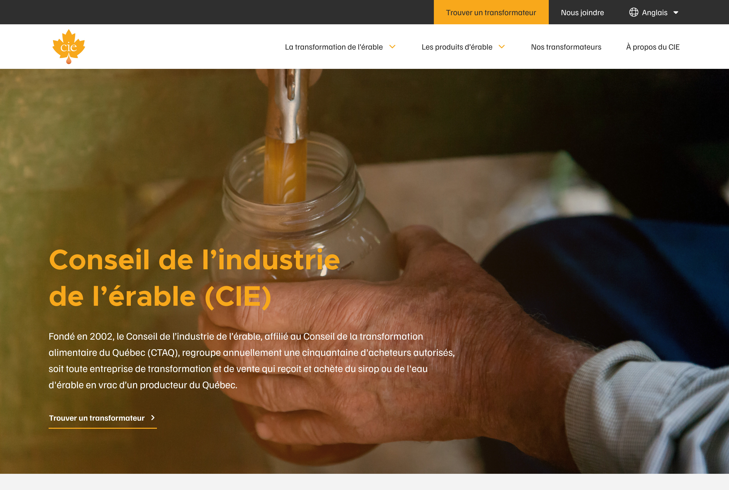 Projet LMP — aperçu